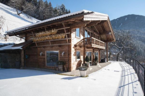 Logenplatz Zillertal Ramsau Im Zillertal